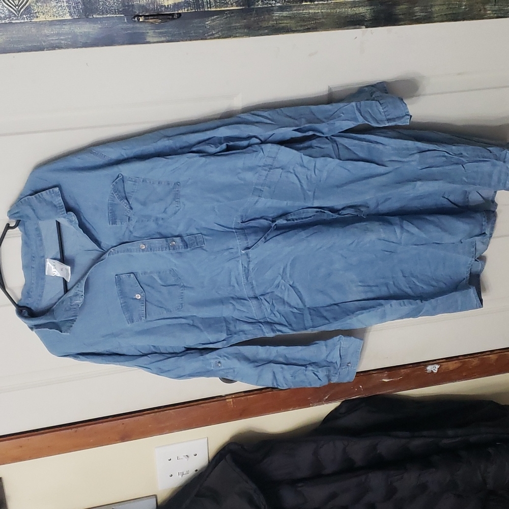 Serra denim dress